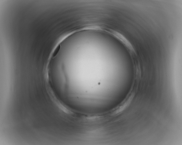 X0000114440908200910231316