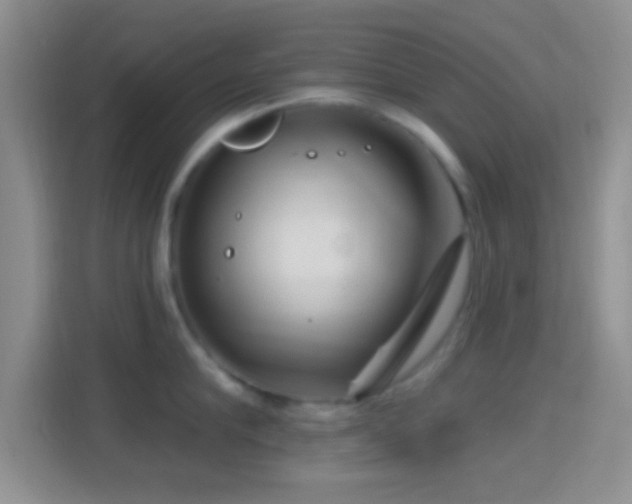 X0000114440910200910231316