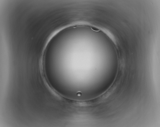 X0000114440911200910231316