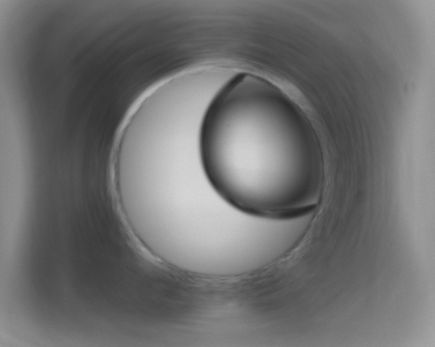 X0000114440912200910231316