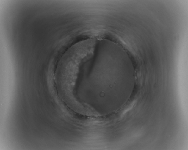 X0000114440913200910231315