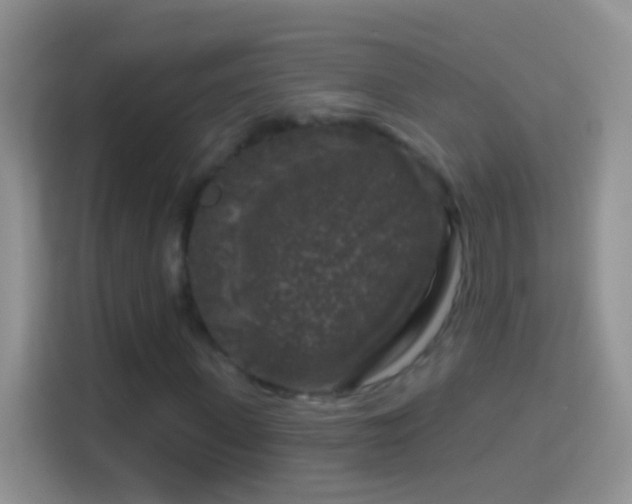 X0000114440915200910231315