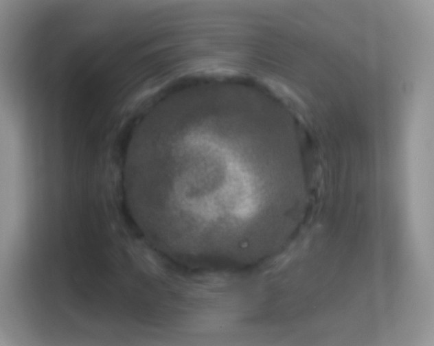 X0000114440917200910231315