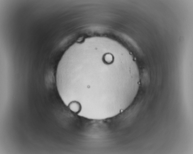 X0000114440918200910231315