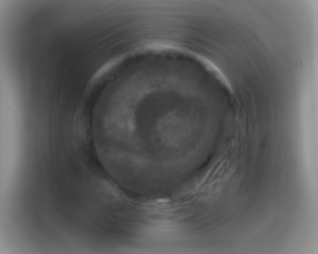 X0000114440919200910231315