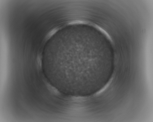 X0000114440921200910231315