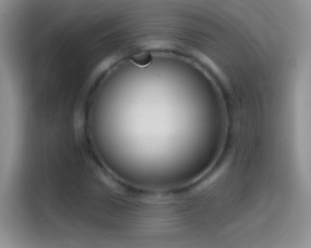 X0000114440922200910231315