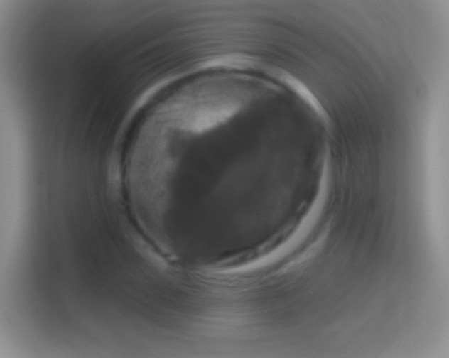 X0000114440923200910231315