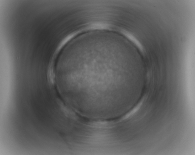 X0000114440925200910231315