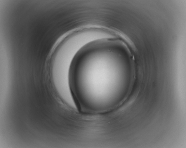 X0000114440926200910231315