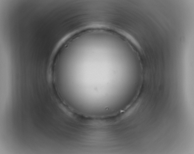 X0000114440927200910231315