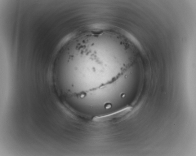 X0000114440930200910231315