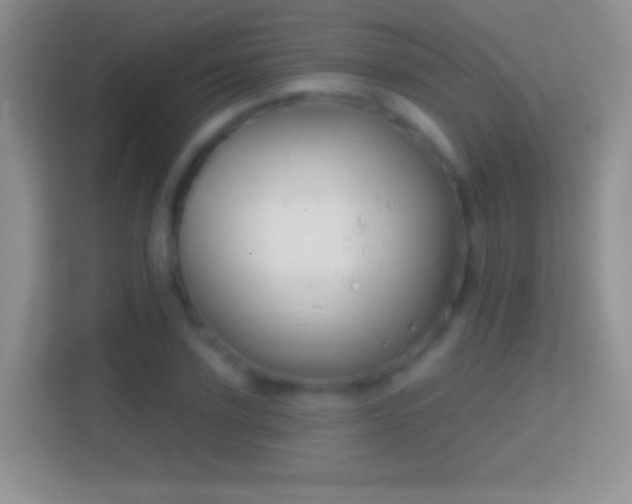 X0000114440931200910231315