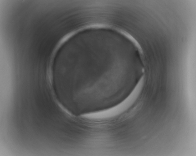 X0000114440935200910231315