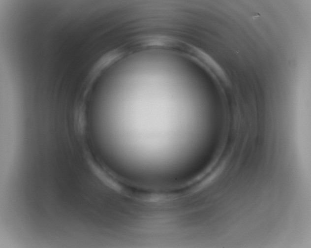 X0000114440938200910231315