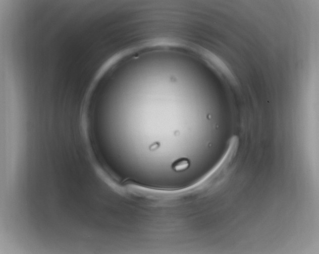 X0000114440942200910231315