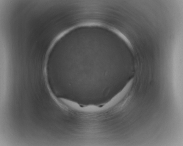 X0000114440943200910231315