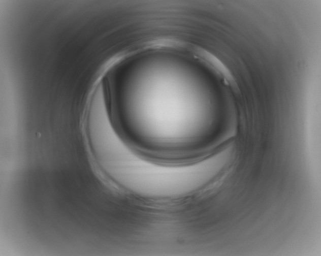 X0000114440946200910231315