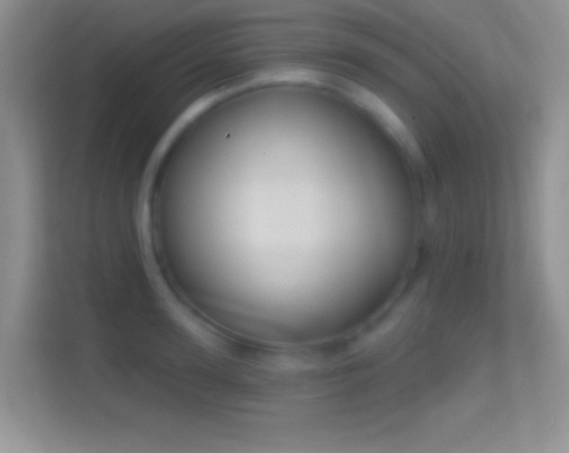 X0000114440947200910231315