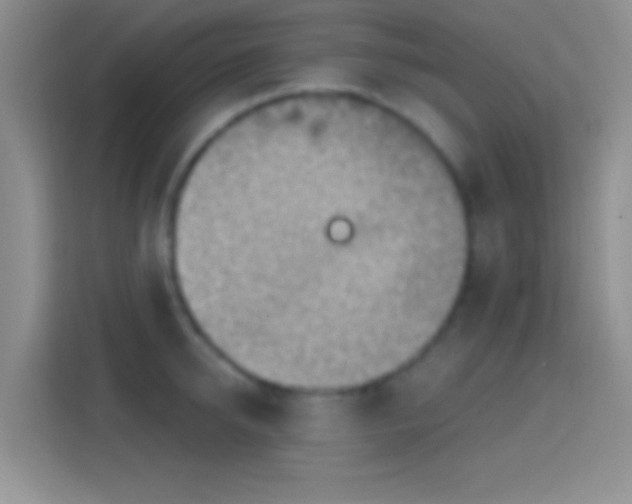 X0000114440950200910231315