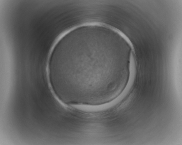 X0000114440951200910231315