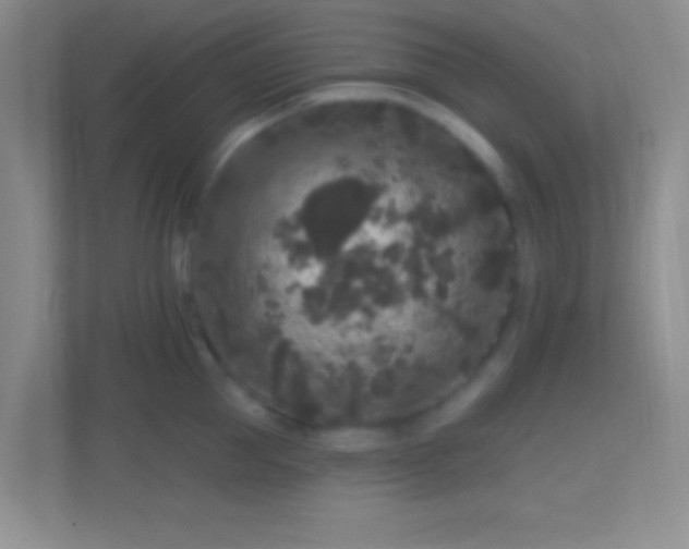 X0000114440953200910231315