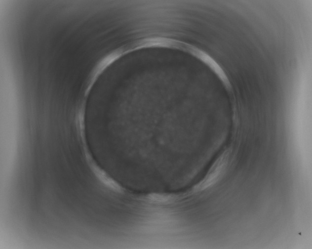 X0000114440954200910231315