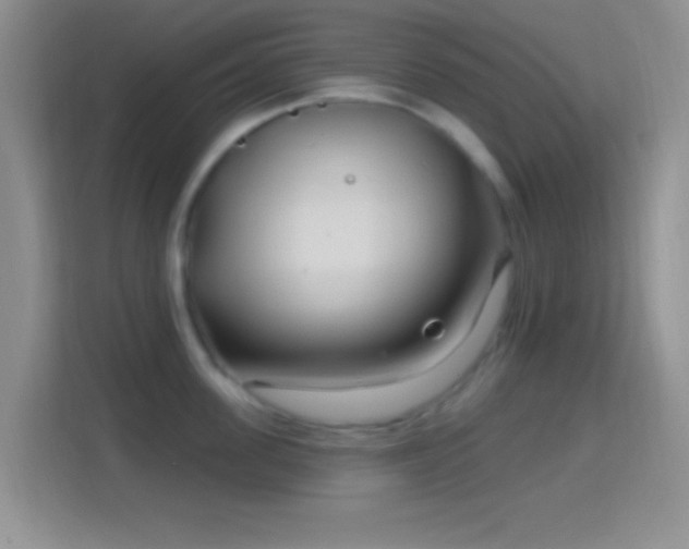 X0000114440955200910231315