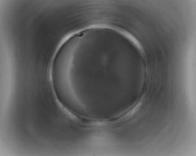 X0000114440958200910231315