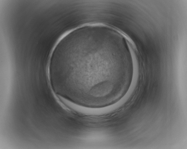 X0000114440959200910231315