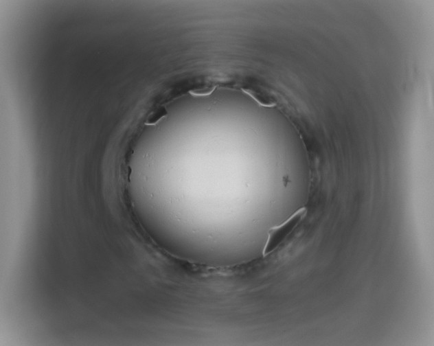 X0000114440961200910231315