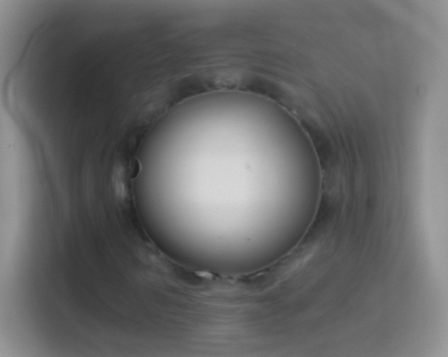 X0000114440962200910231315