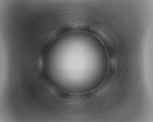 X0000114440963200910231315