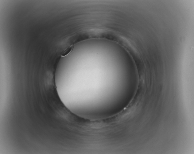 X0000114440964200910231315