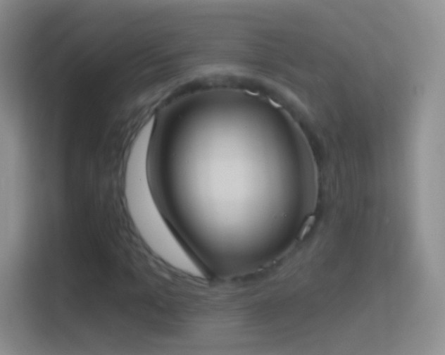 X0000114440965200910231315