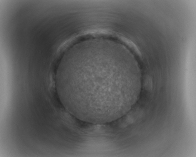 X0000114440966200910231315