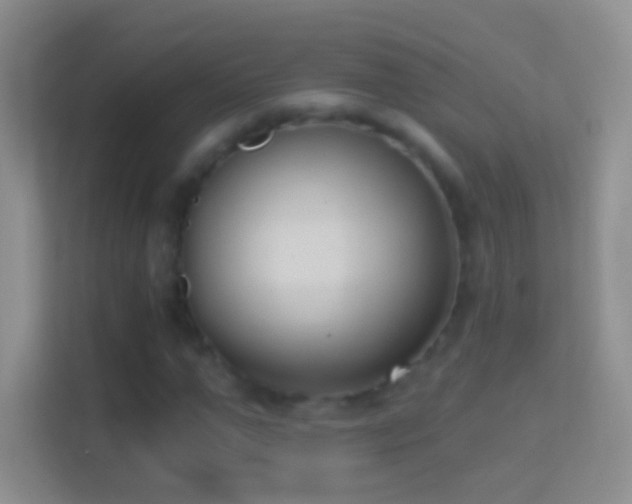 X0000114440967200910231315