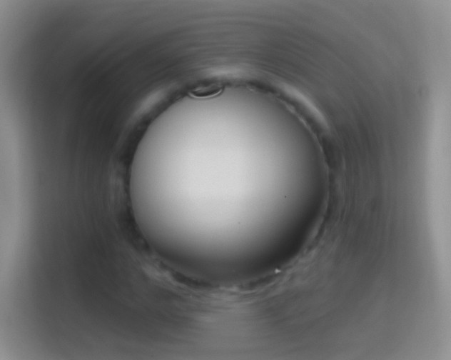 X0000114440968200910231315