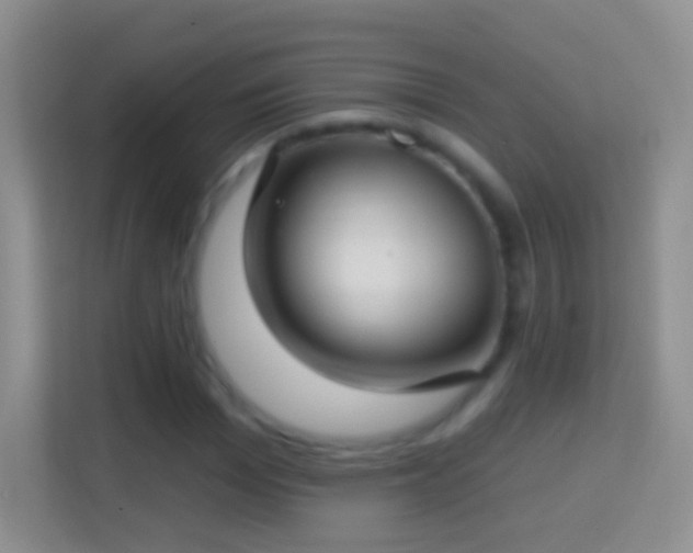 X0000114440969200910231315