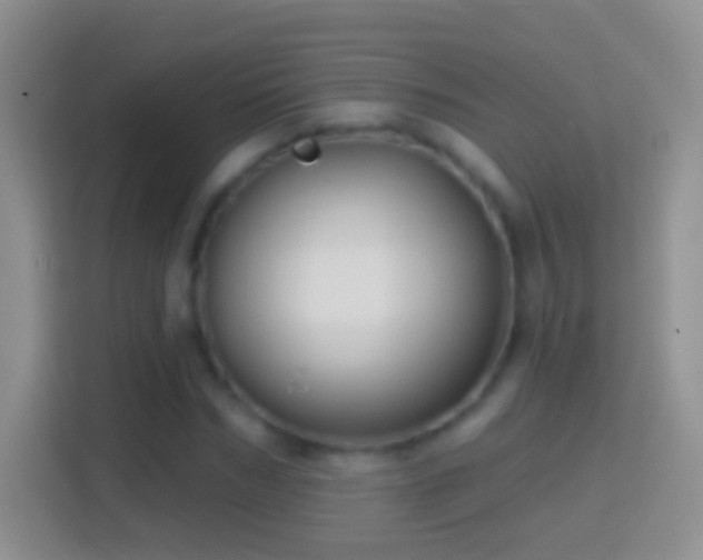 X0000114440970200910231315