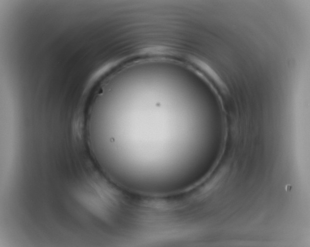 X0000114440971200910231315