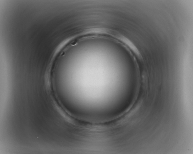 X0000114440972200910231315