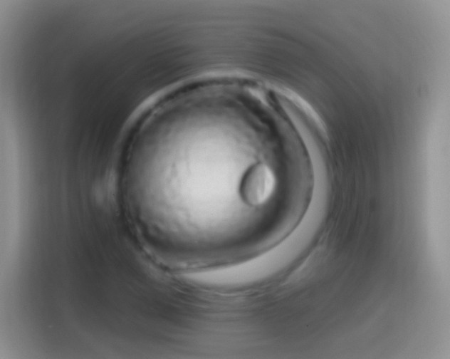 X0000114440975200910231315