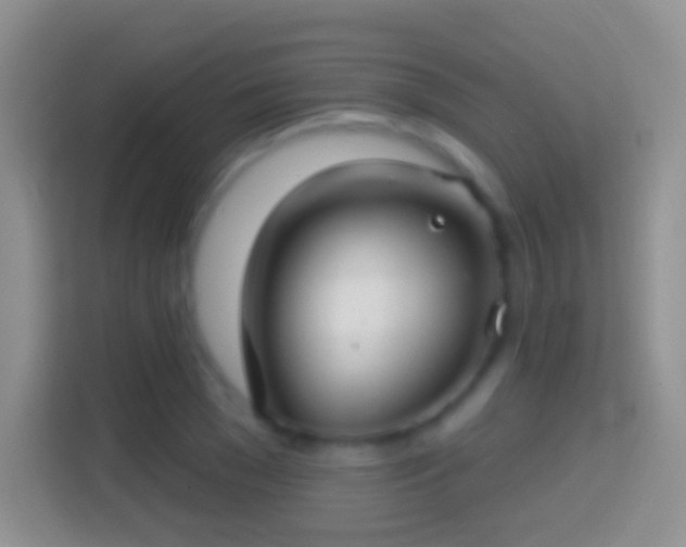 X0000114440977200910231315