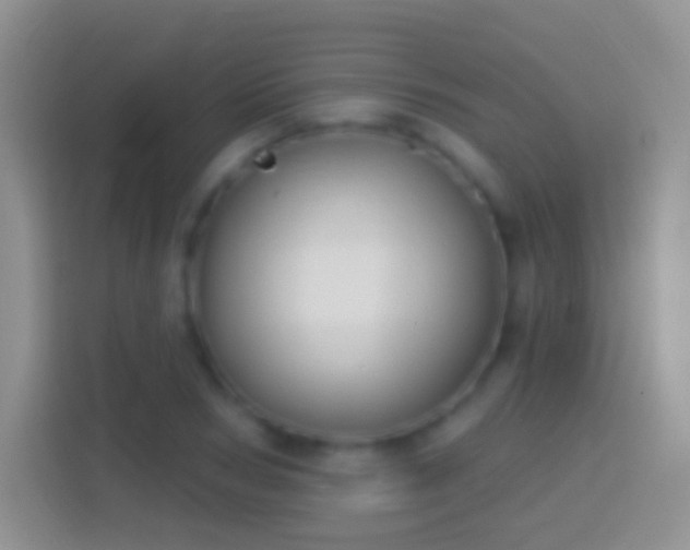 X0000114440978200910231315