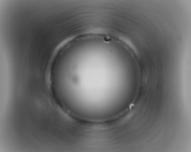 X0000114440979200910231315