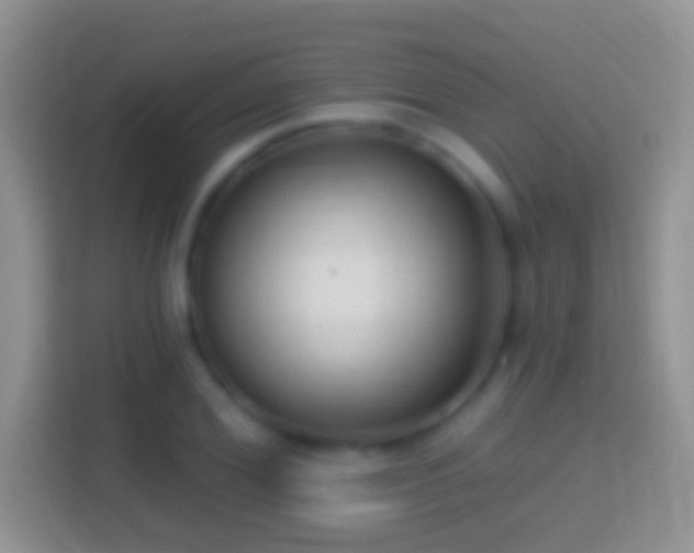 X0000114440980200910231315