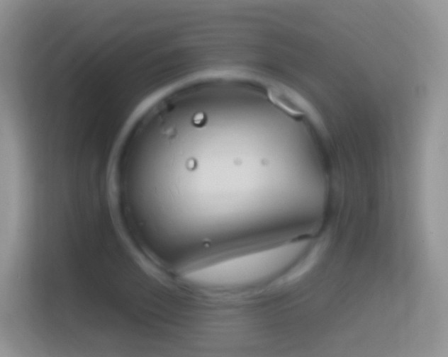 X0000114440981200910231315