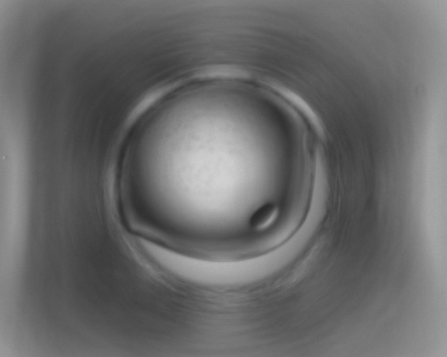 X0000114440983200910231315