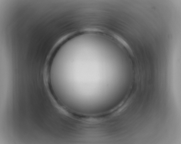 X0000114440984200910231315